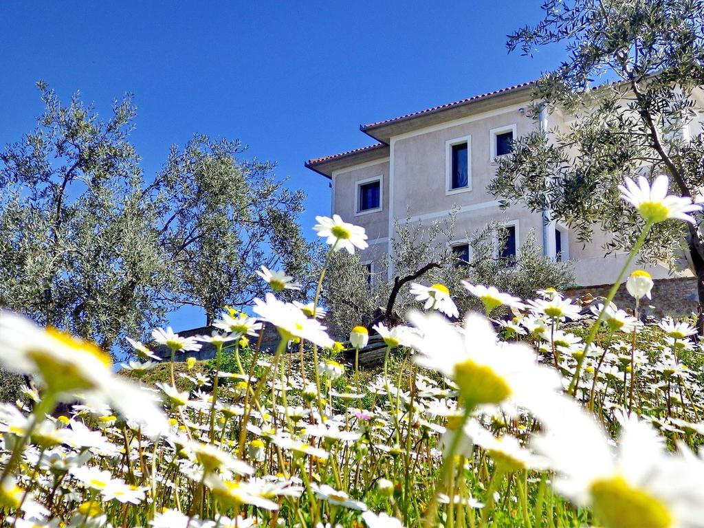 Villa Duchess Pteleós Dış mekan fotoğraf
